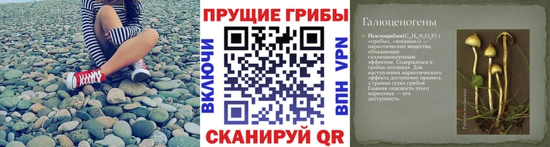 Купить где  Скопин  Галлюциногенные грибы Magic Shrooms 
